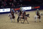 Quadrille - 00203